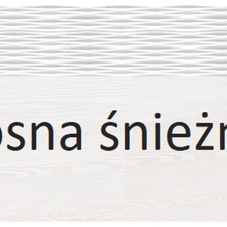 Ława 96 kawowa z półką CLERMONT 13 stolik kawowy jasny