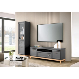 zestaw mały elegancki Terra 3 rtv meblościanka mała do salonu pokoju